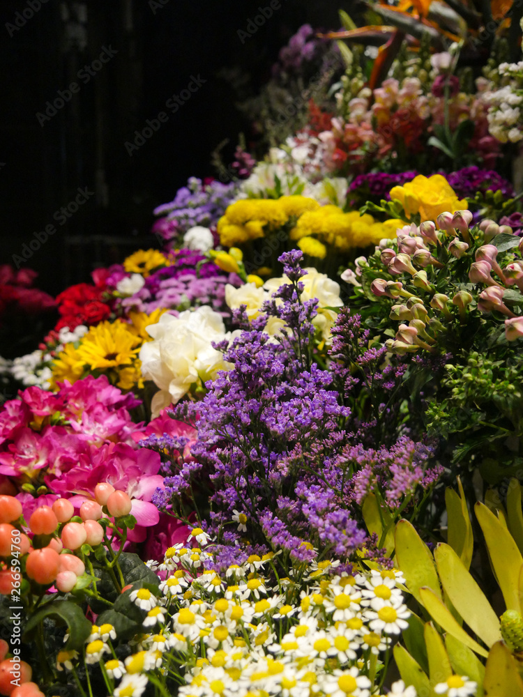 Blumen Blumen