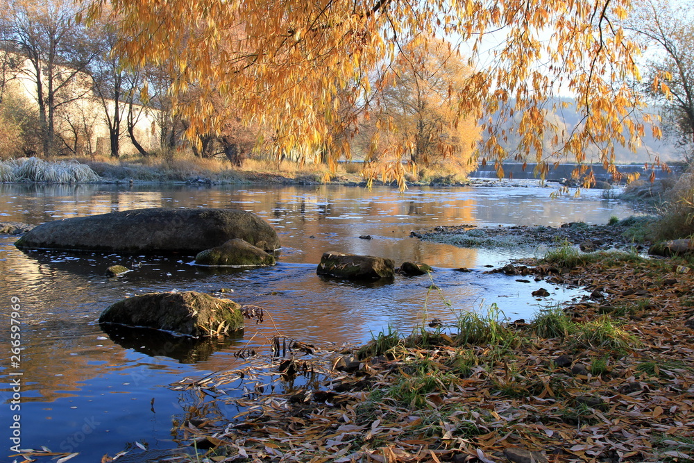 autumn in the park autumn in the park