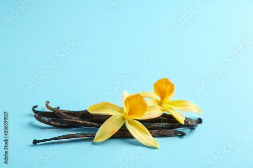 Vanilla sticks and flowers on blue background, closeup. Space for text