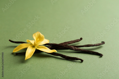 Vanilla sticks and flower on green background. Space for text
