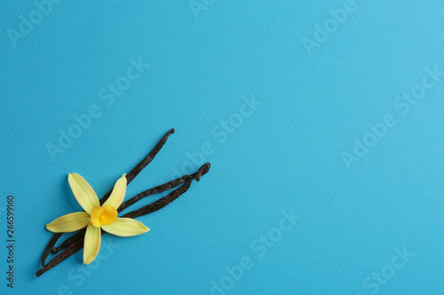 Flat lay composition with vanilla sticks and flower on blue background. Space for text