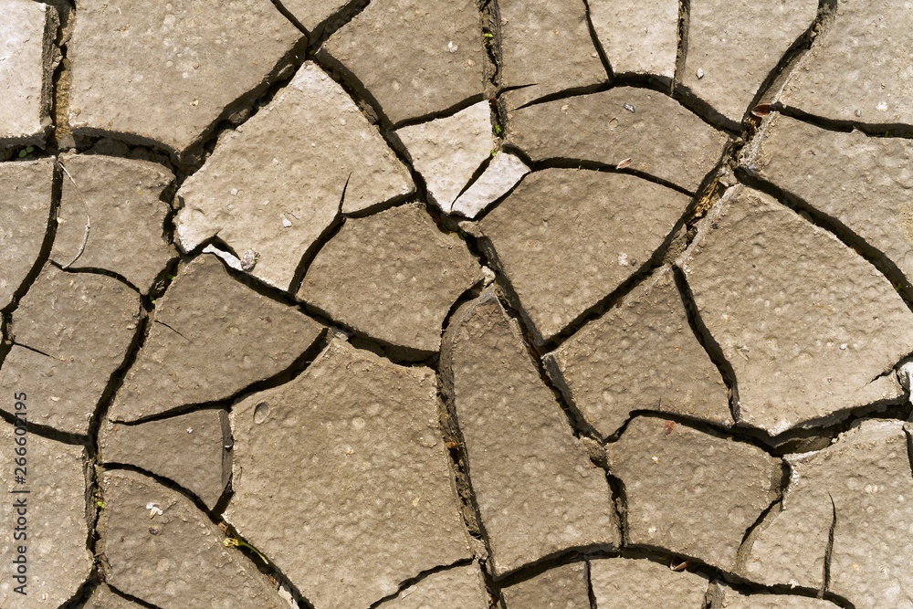 Obraz premium Drought-Stricken Earth: Natural Pattern of Cracked Clay Soil in Close-up
