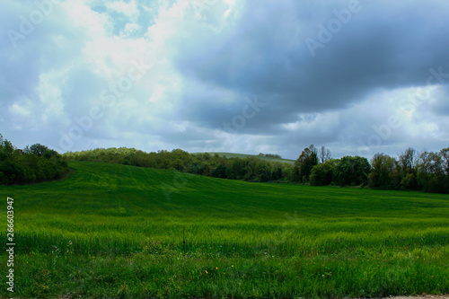 Hayfields in a windy spring day