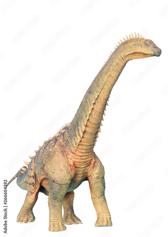 alamosaurus in a white background alamosaurus in a white background