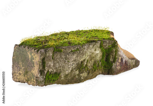 Old clay brick overgrown by green moss, white background.
