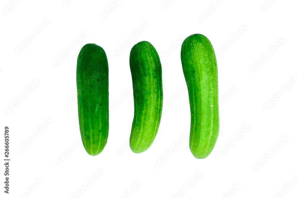 Fresh Cucumber isolated on white background, Cucumber texture Fresh Cucumber isolated on white background, Cucumber texture