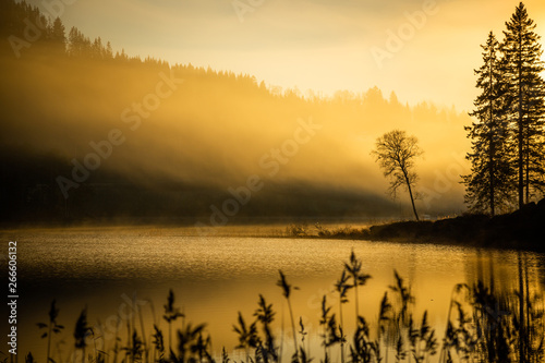 Foggy autumnal surise at Jonsvatnet, Norway photo