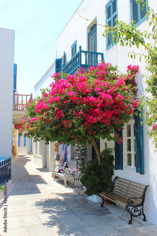 Fototapeta premium A typical narrow alley in the town of Kos, Greece