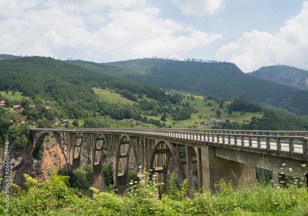 Concrete arch Djurdjevica Tara bridge over the Tara River in Montenegro