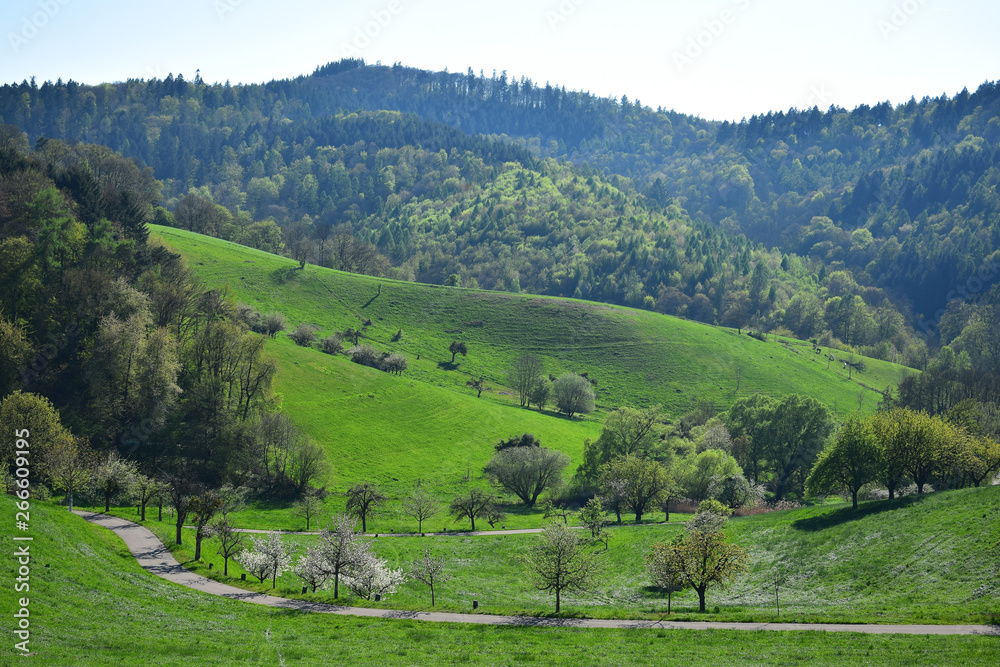 Beautiful landscape in spring in the Odenwald, Germany.