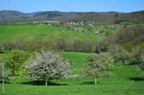 Beautiful landscape in spring in the Odenwald, Germany. photo