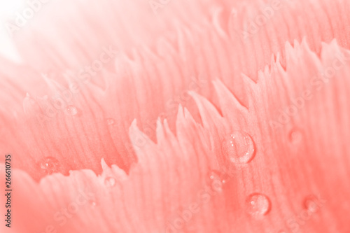 Trendy coral colored floral background