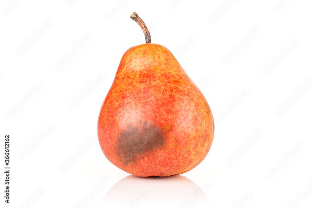 One whole fresh red pear with a spot isolated on white background One whole fresh red pear with a spot isolated on white background