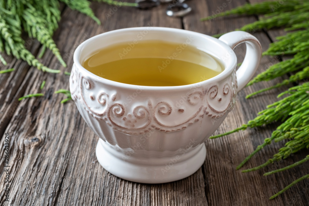 A cup of horsetail tea with fresh horsetail A cup of horsetail tea with fresh horsetail