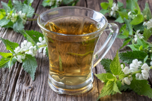 A cup of white dead-nettle tea with fresh plant
