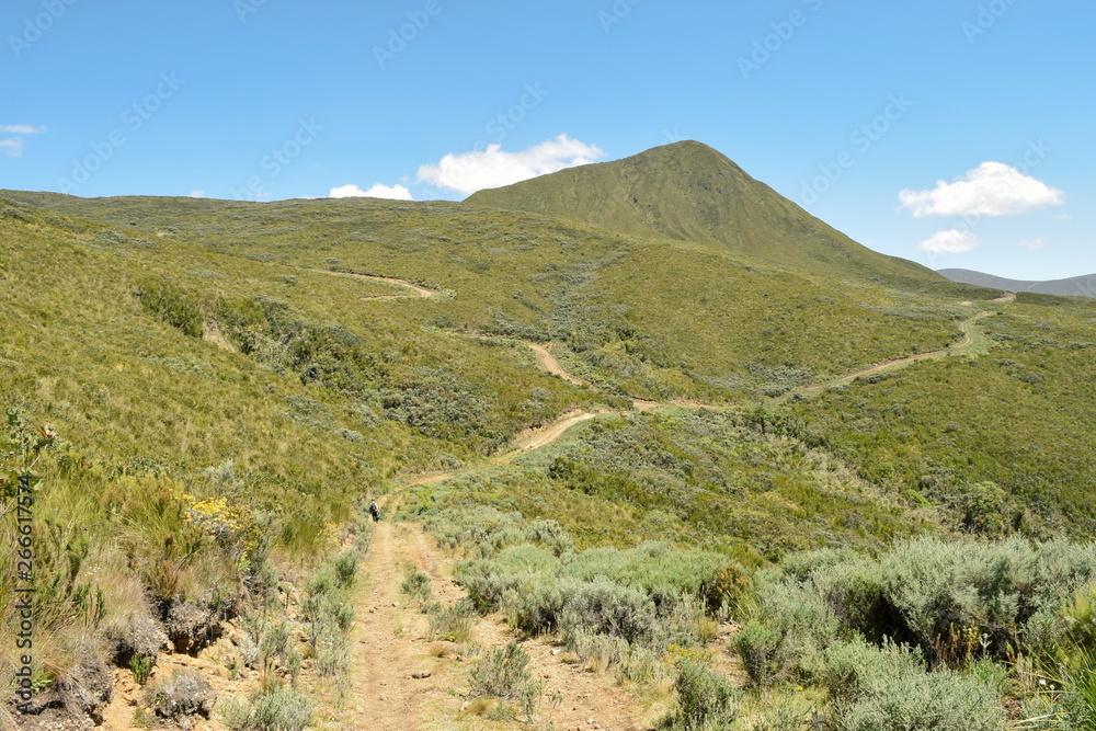 High altitude moorland against a mountain background, Chogoria Route, Mount Kenya, Kenya