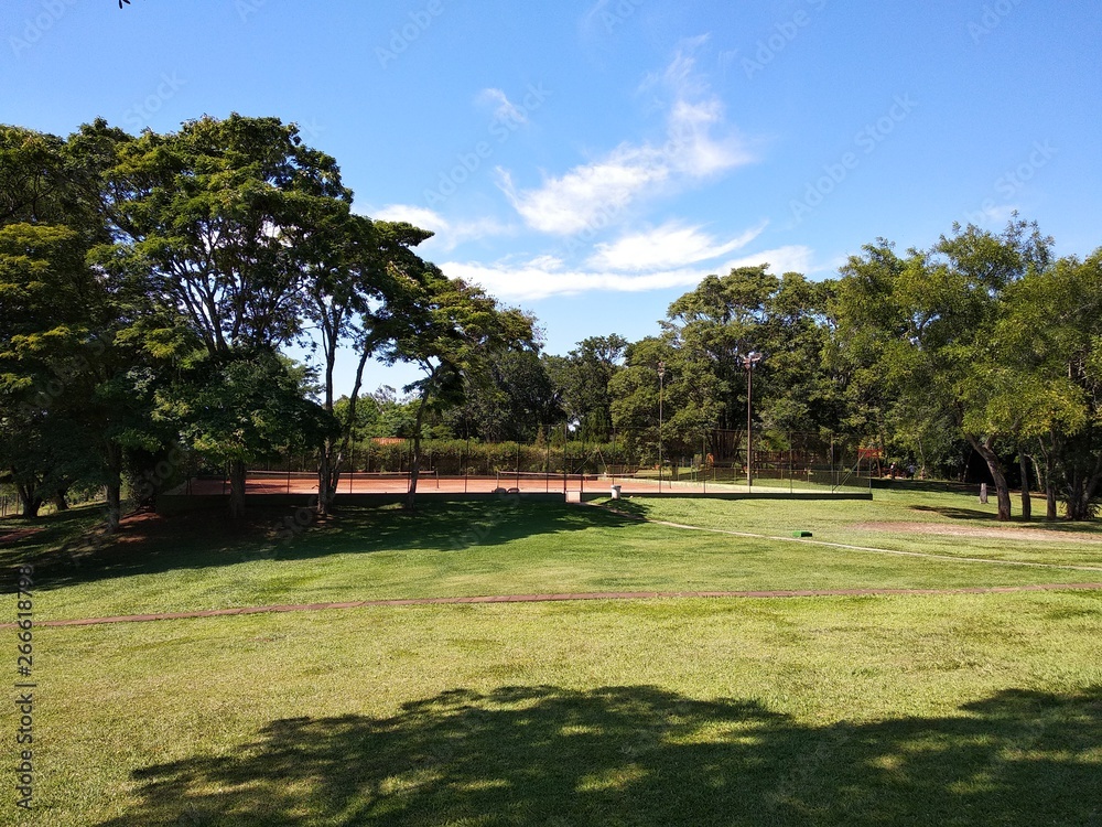 Naklejka premium Tennis court surrounded by beautiful farm trees in full summer day with scorching sun