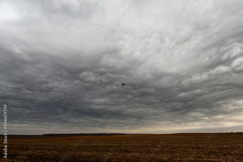 huge, blue clouds slowly float across the sky, over just plowed field, early spring morning
