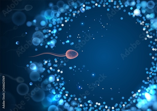 Natural fertilization. Sperm and egg vector illustration. Reproductive medicine health care pregnancy background template photo