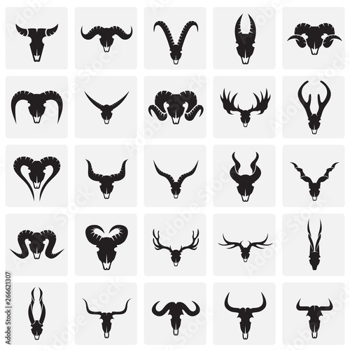Animal skull icons set on squares background for graphic and web design. Simple vector sign. Internet concept symbol for website button or mobile app.