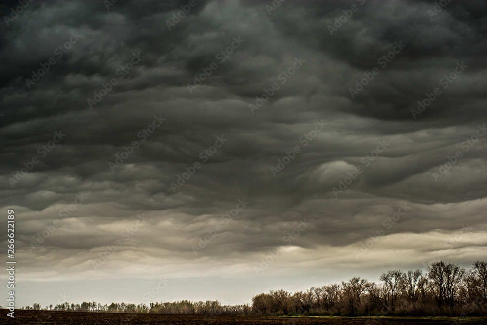 huge, blue clouds slowly float across the sky, over just plowed field, early spring morning huge, blue clouds slowly float across the sky, over just plowed field, early spring morning