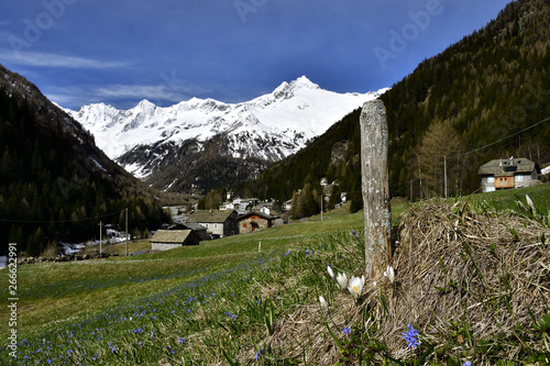 View of Chiareggio in spring. photo