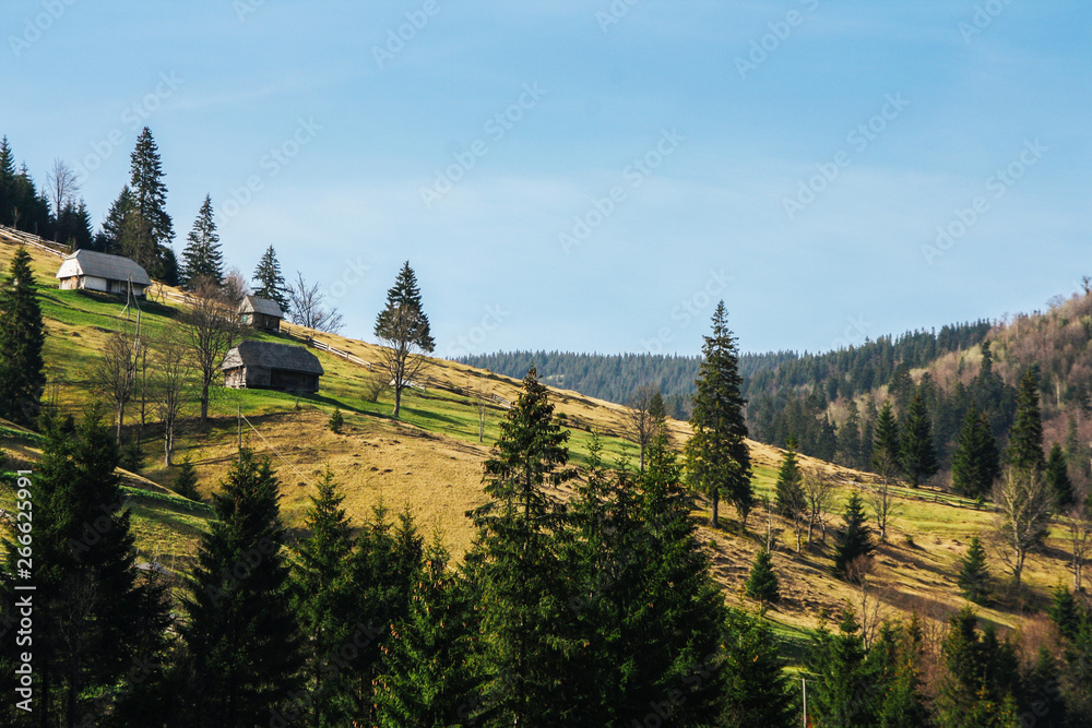 Landscape of green mountain hills covered by forest with small houses.