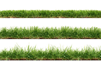 A collection of real grass borders, short, medium and long grass edges isolated on a white background.