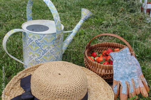 watering can with straw hat, basket of strawberries and gardning gloves photo