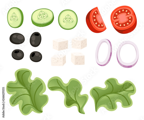 Vegetables salad recipe. Greek salad ingredient. Fresh vegetables cartoon icon design food. Flat vector illustration isolated on white background
