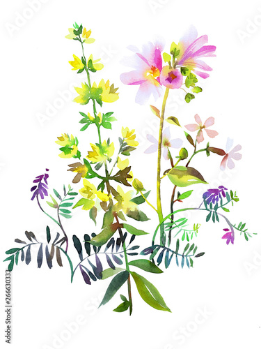 Garden flowers in watercolor style. Bright Illustration made of Indian cress, marguerite, and Foliage isolated on white. Aquarelle flowers for background, texture, w