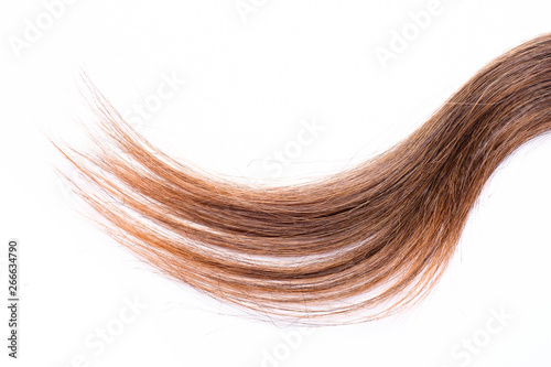 Light brown hair - White background