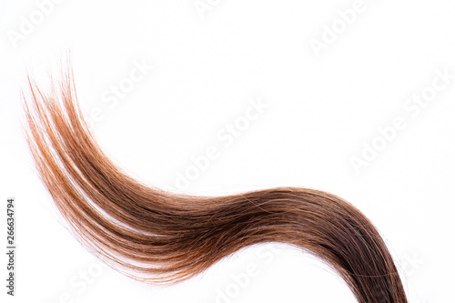 Light brown hair - White background