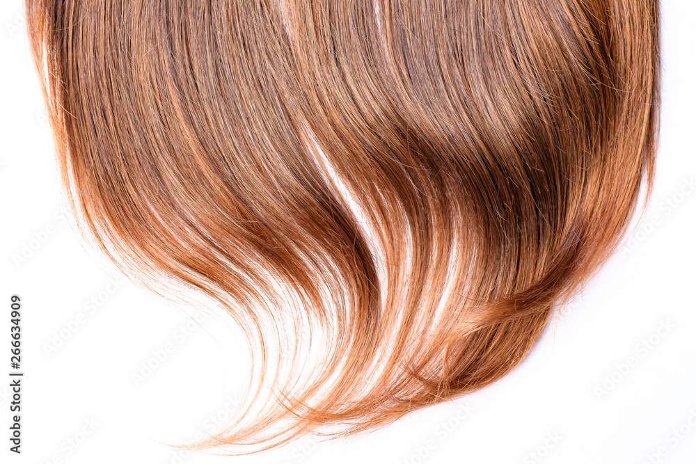 Light brown hair - White background Light brown hair - White background