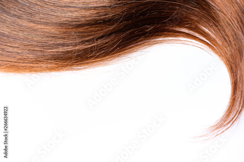 Light brown hair - White background