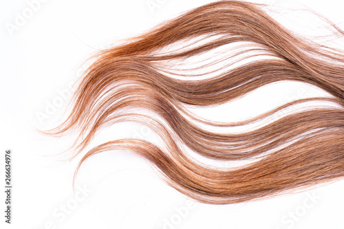 Curly light brown hair - White background