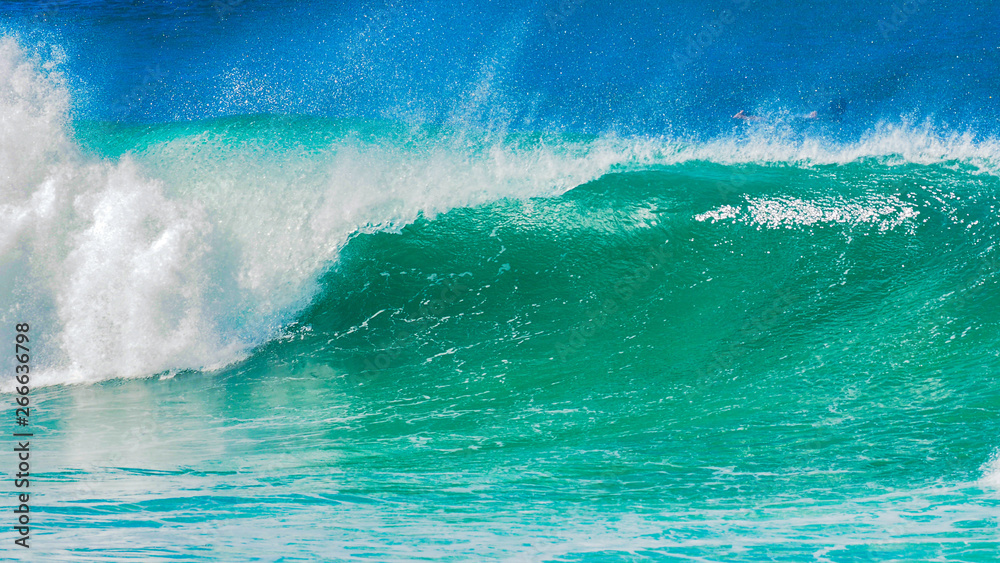 Obraz premium Australian Surf