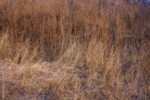 Dry grass season fire hazard