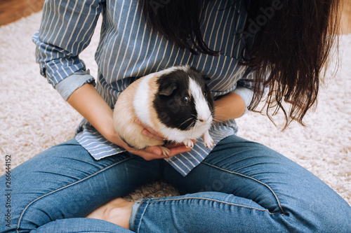 Foto The host girl holds a guinea pig with a large mustache in her arms in the lotus position