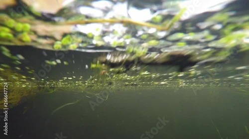 Handheld, exterior shot from a boat driving under the water as it cruises through a river.