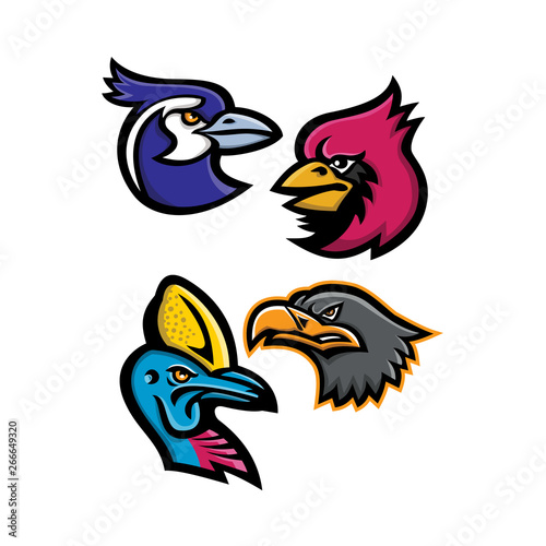 Mascot icon illustration set of heads of bird wildlife like the black throated magpie, cardinal, cassowary and the european eagle viewed from side  on isolated background in retro style.