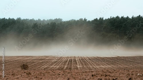 Tumble weed swept over a farmed field by strong winds whirling off the top soil, creating land erosion due to intensive agricultural tillage in northern Germany.