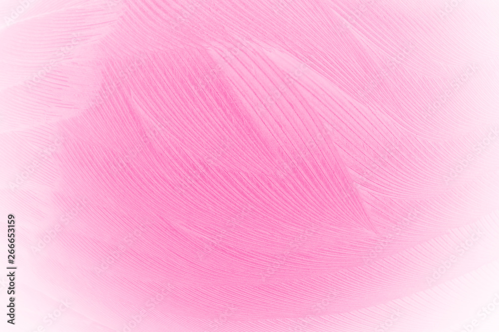 Fototapeta premium Beautiful soft pink vintage color trends feather pattern texture background