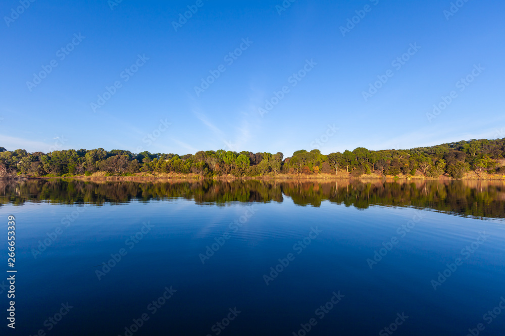 Trees reflecting in calm river water under vivid blue sky with copy space