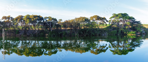 Wide panorama of row of trees reflecting in calm mirror-like river water © Greg Brave