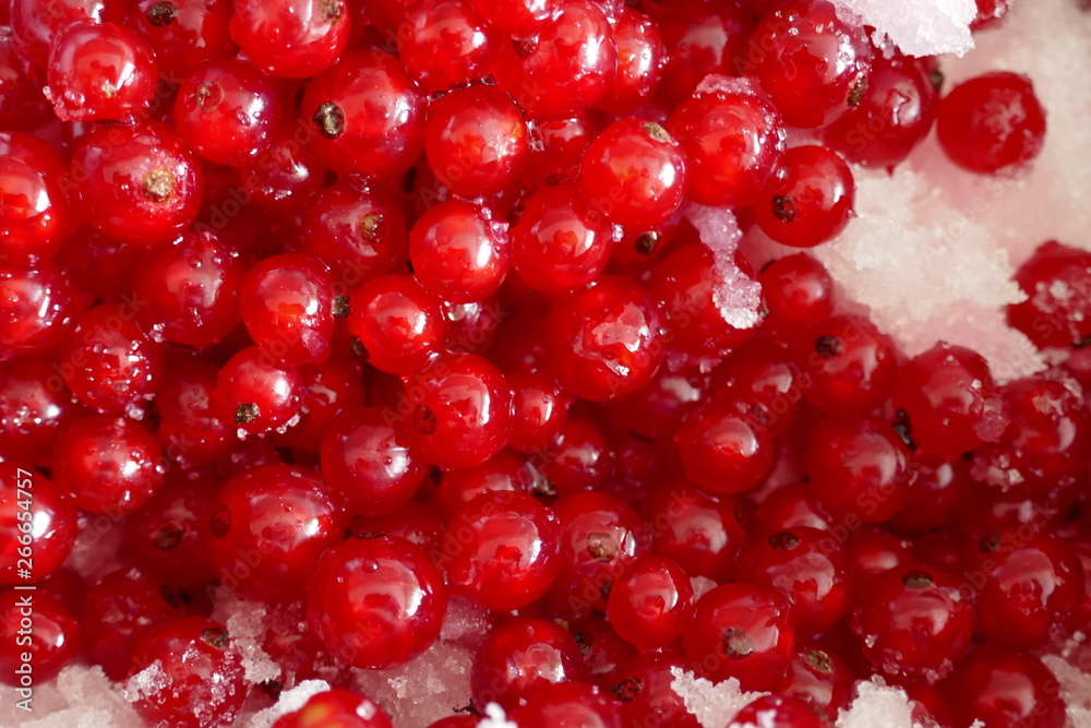 red currant berries with sugar macro background. currant jam.Summer berry. Canned berries. red currant berries with sugar macro background. currant jam.Summer berry. Canned berries.