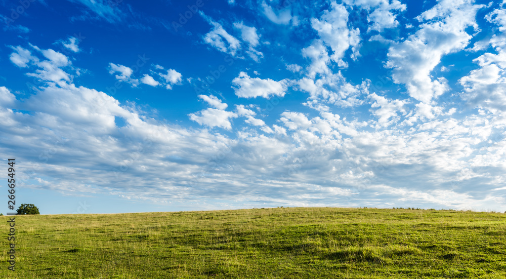Obraz premium Pretty green Meadow with beautiful blue sky background with copy space