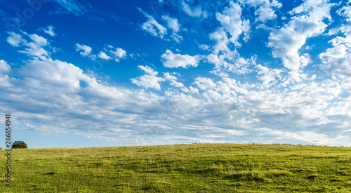 Pretty green Meadow with beautiful blue sky background with copy space