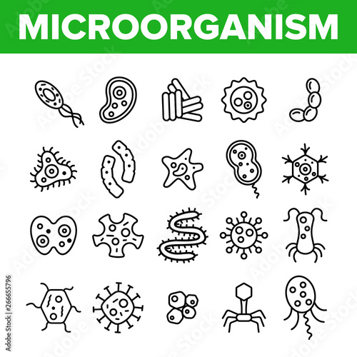 Microorganisms Cells Thin Line Icons Vector Set. Viruses  Bacterias  Unicellular Organisms  Protozoa Linear Illustrations. Cocci And Bacillus. Infectious Agent  Bacteriophage Isolated Outline Drawings