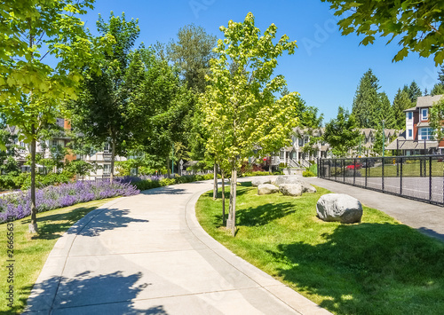 Paved walkway with maple trees in park area of residential community
